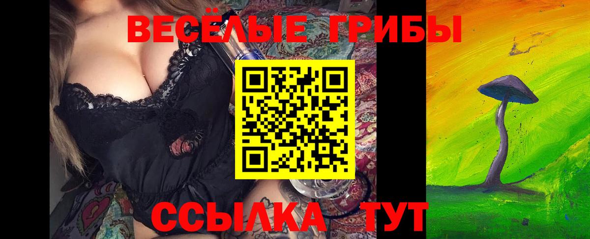 Галлюциногенные грибы мухоморы  Вход с VPN  Нальчик 
