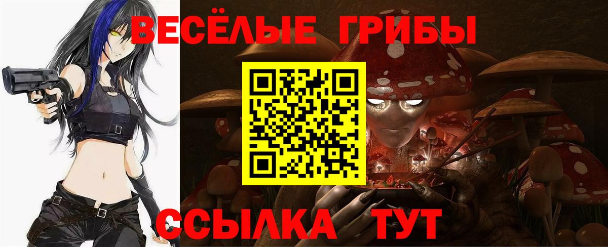 Галлюциногенные грибы Psilocybine cubensis Нальчик